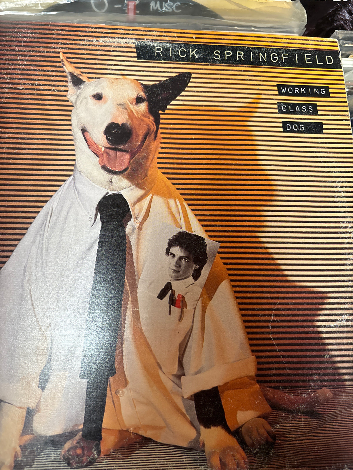 Working class dog - rick Springfield