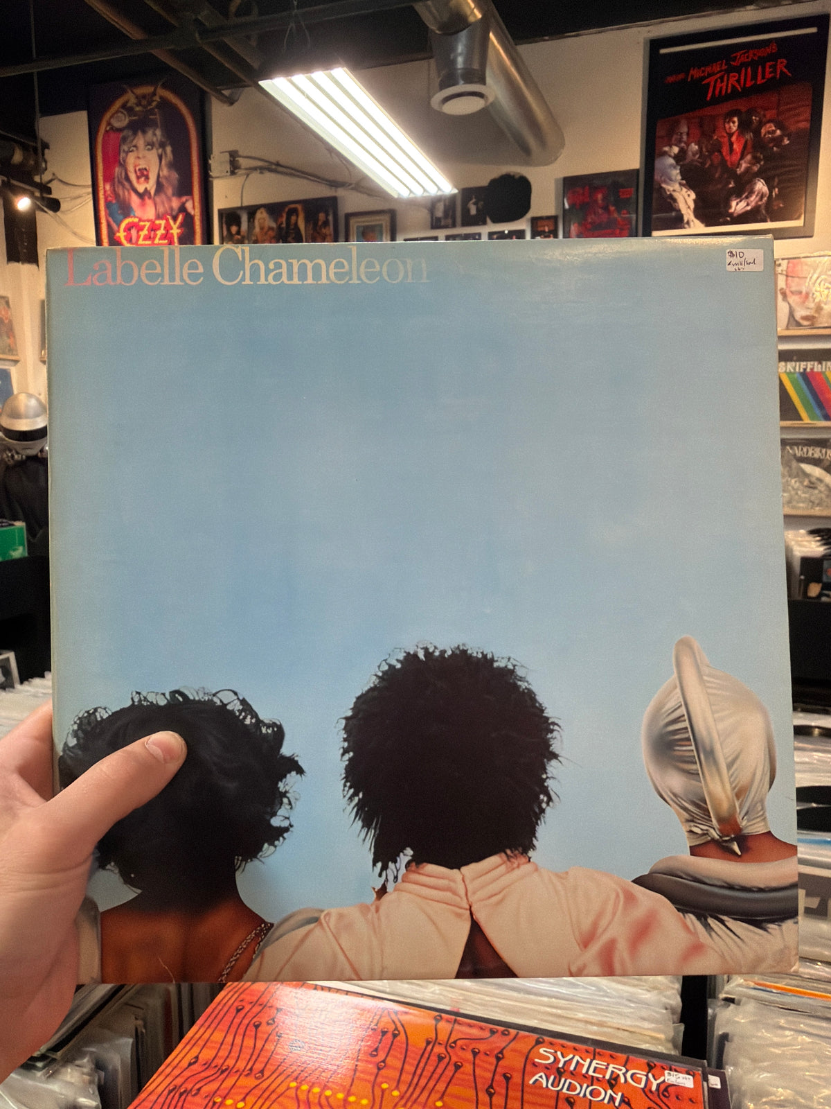 Labelle Chameleon