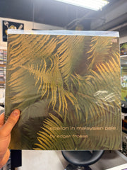 Edgar Froese - Epsilon In Malaysian Pale