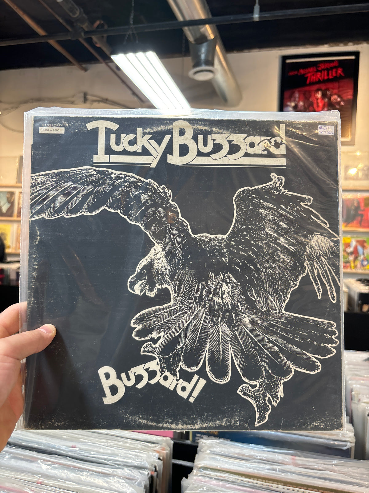 Tucky Buzzard - Buzzard