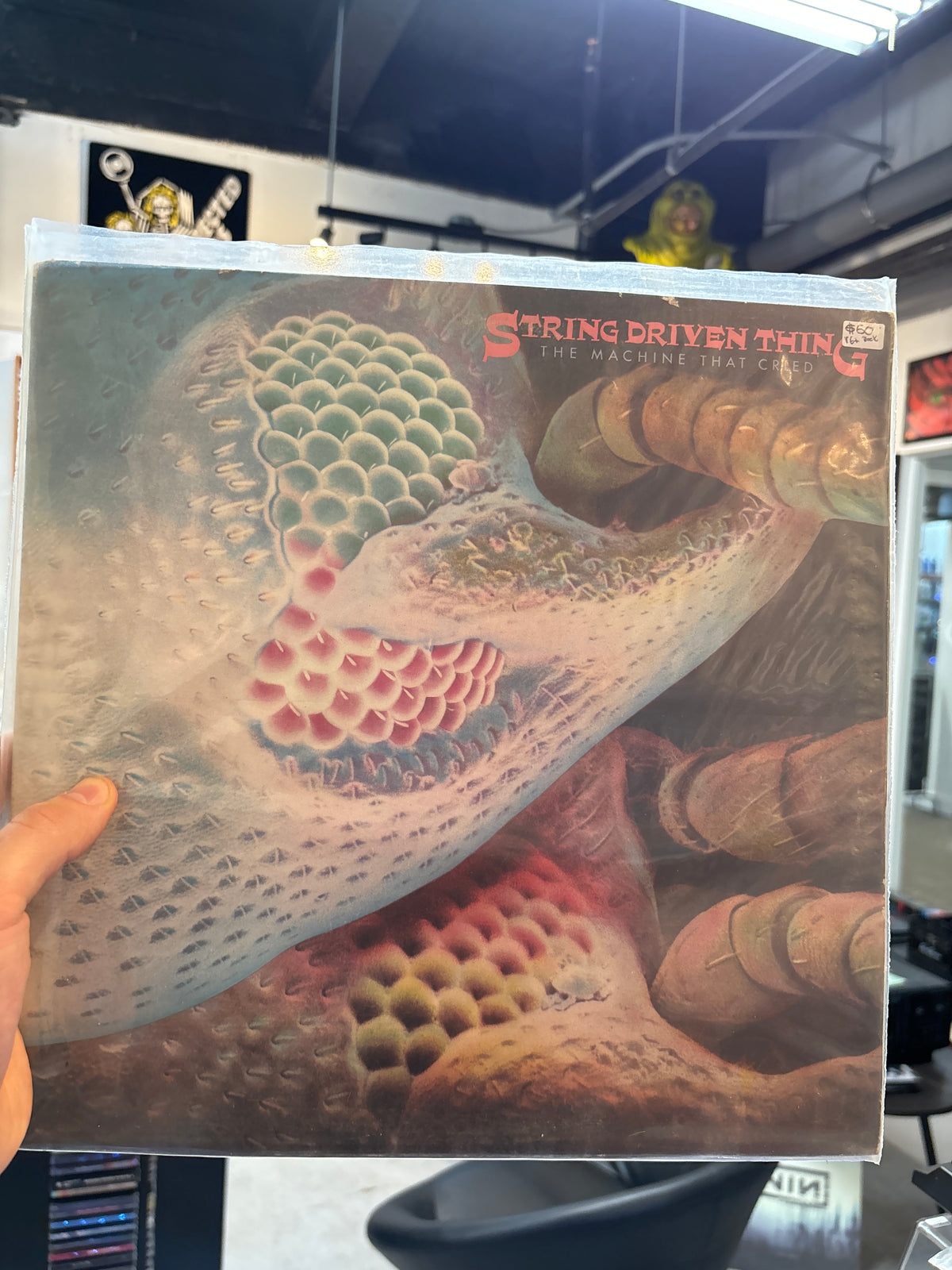 String Driven Thing - The Machine