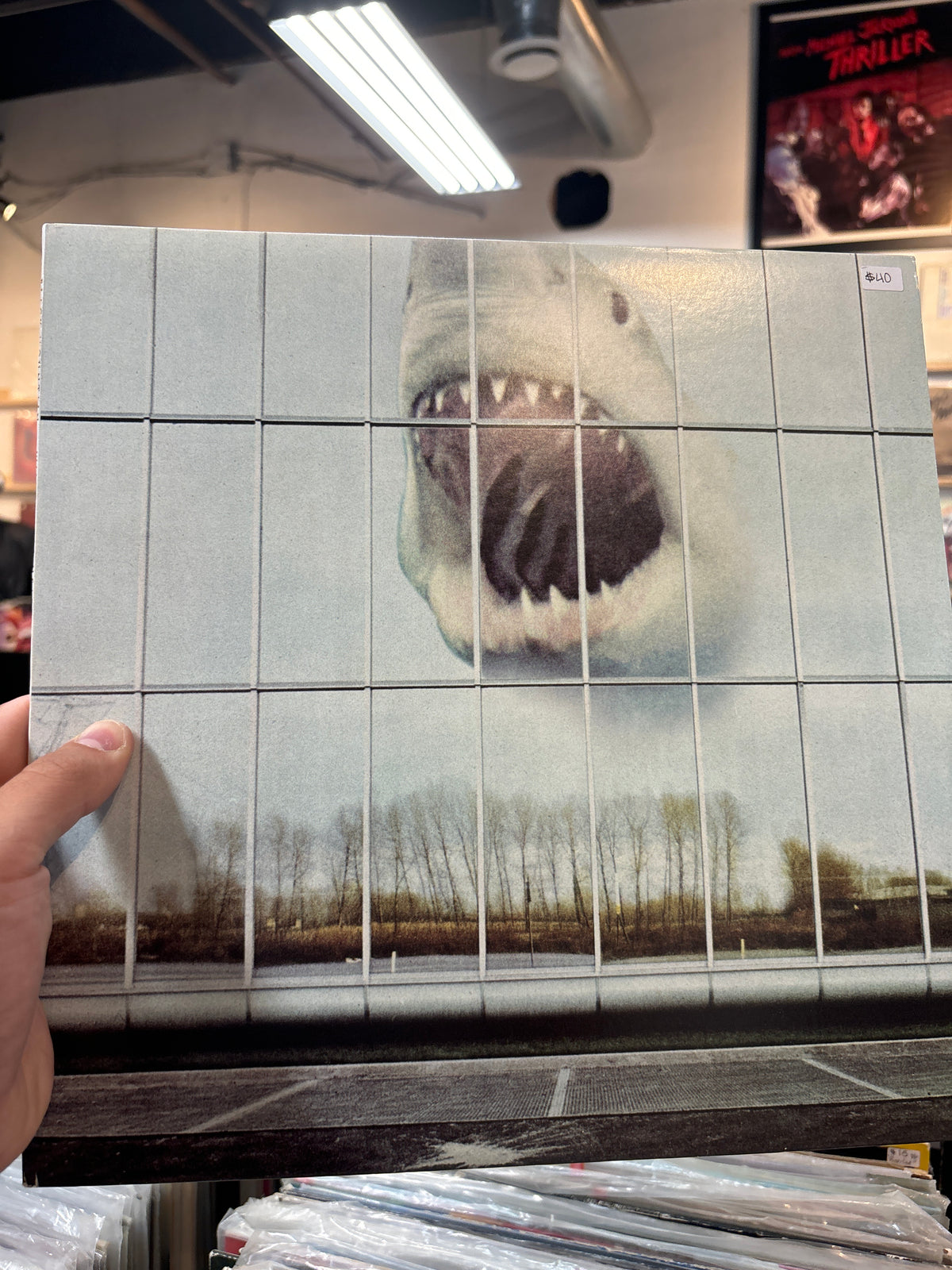 Black Mountain - Wilderness Heart