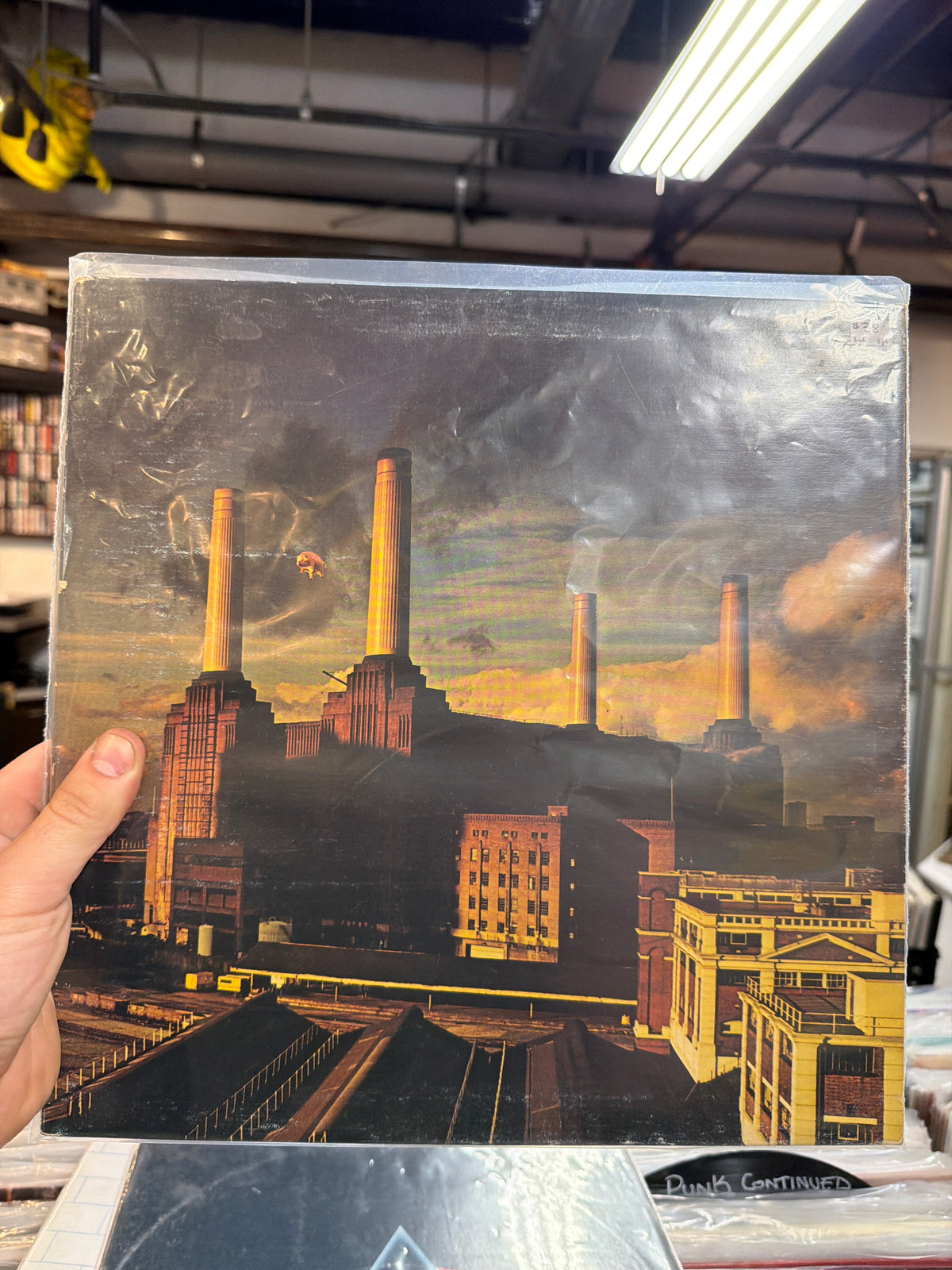 Pink Floyd - Animals