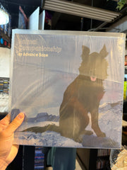 Advance Base - Animal