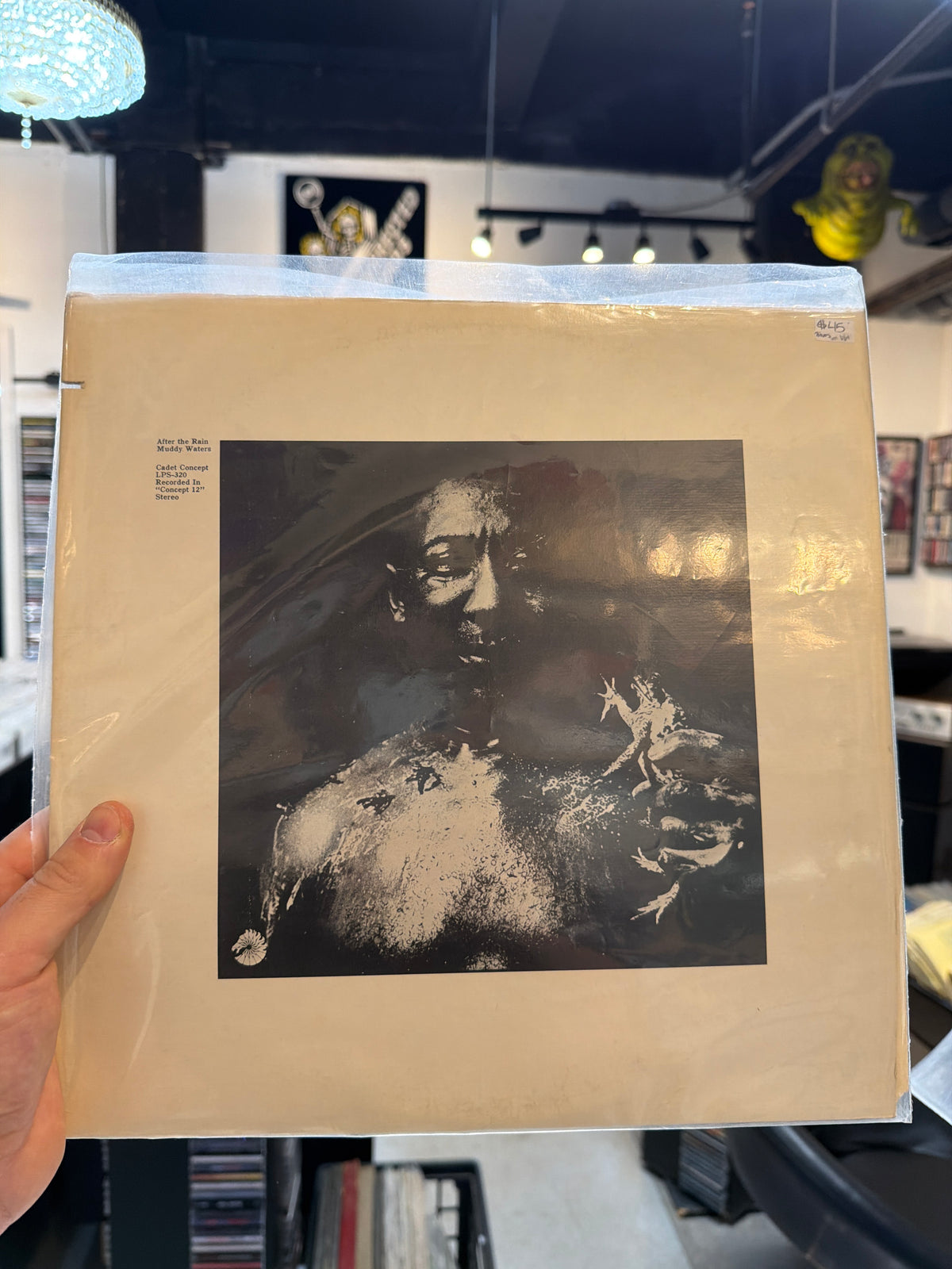 Muddy Waters - After the Rain (1971 USA)