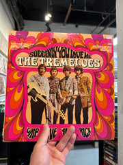 The Tremeloes - Suddenly You Love