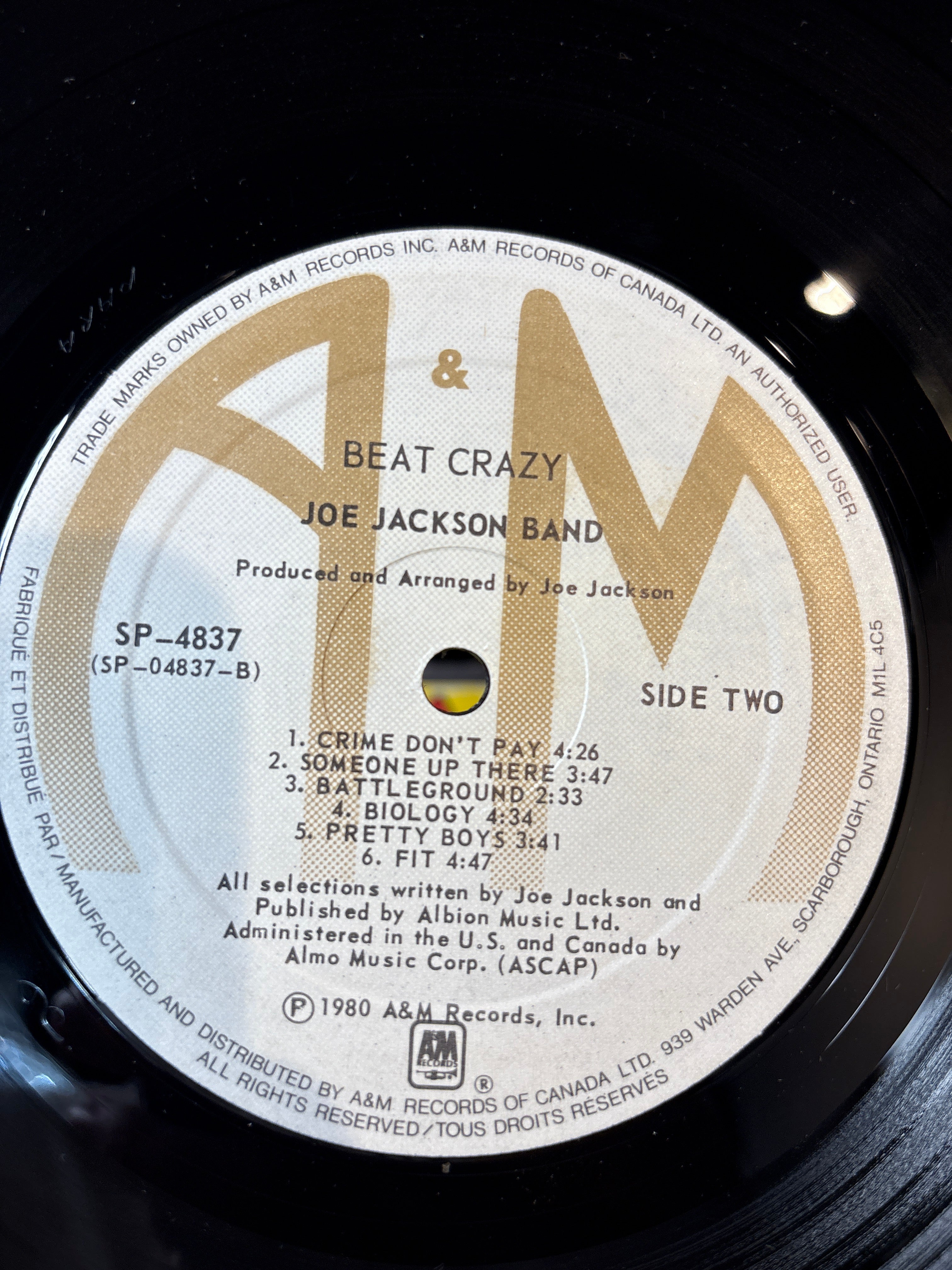 Beat Crazy - Joe Jackson