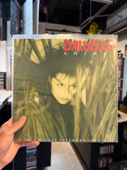 Daibello- Animal (12”)