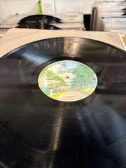 Zoot Allures - Frank Zappa