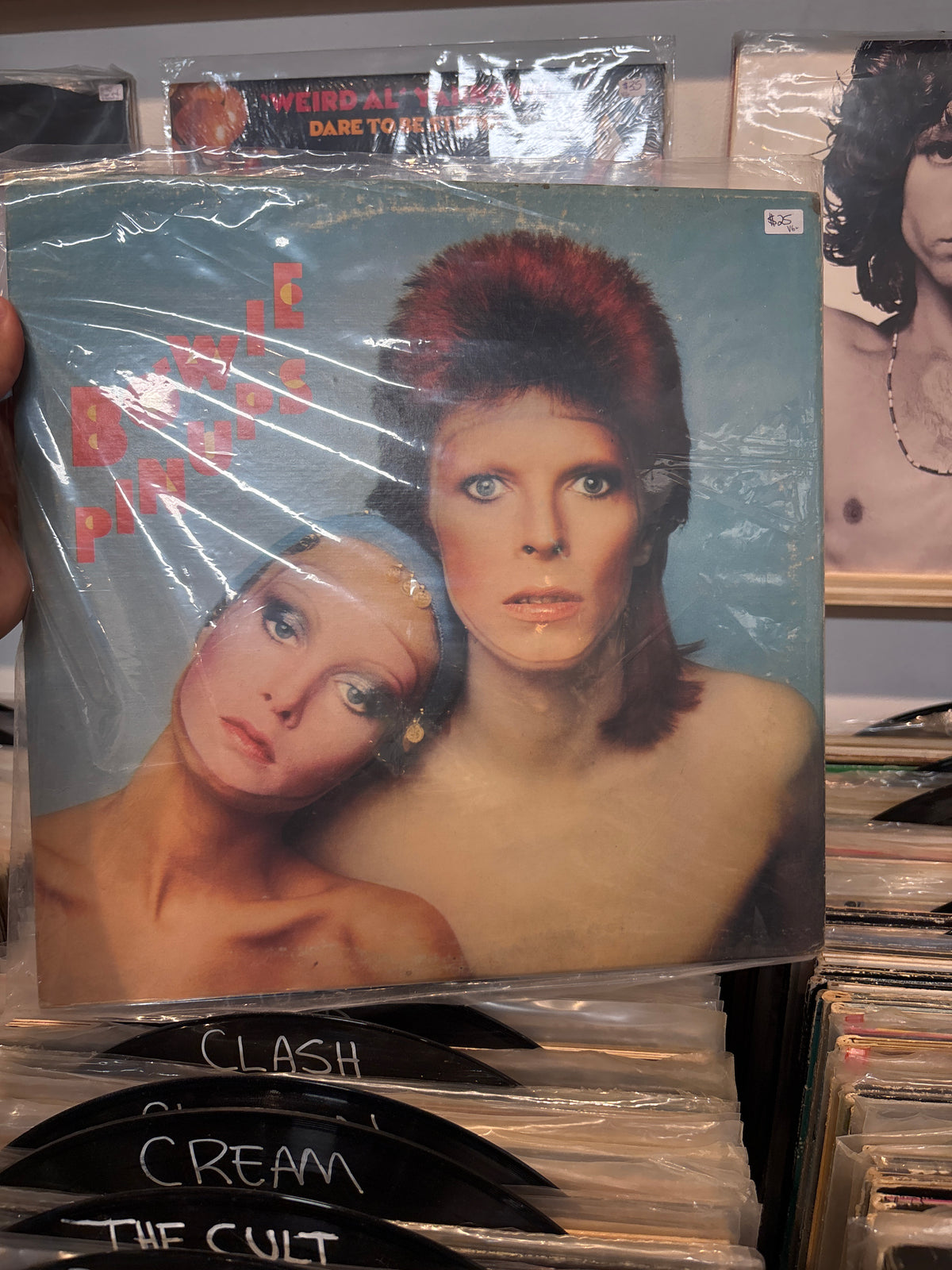 Bowie Pinups - David Bowie