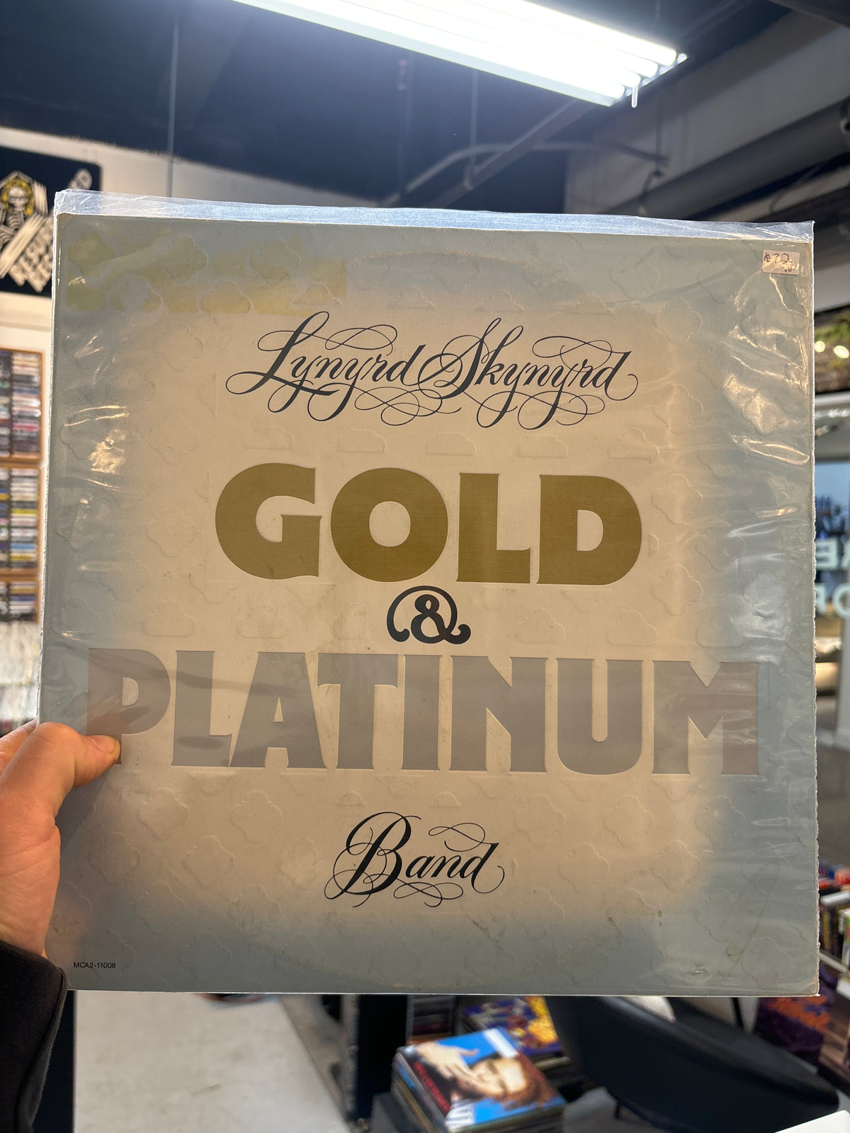 Lynyrd Skynryrd - Gold & Platinum