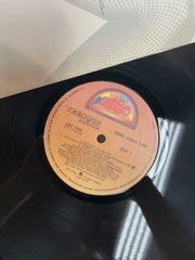 Some Kinda Fun - Teenage Head