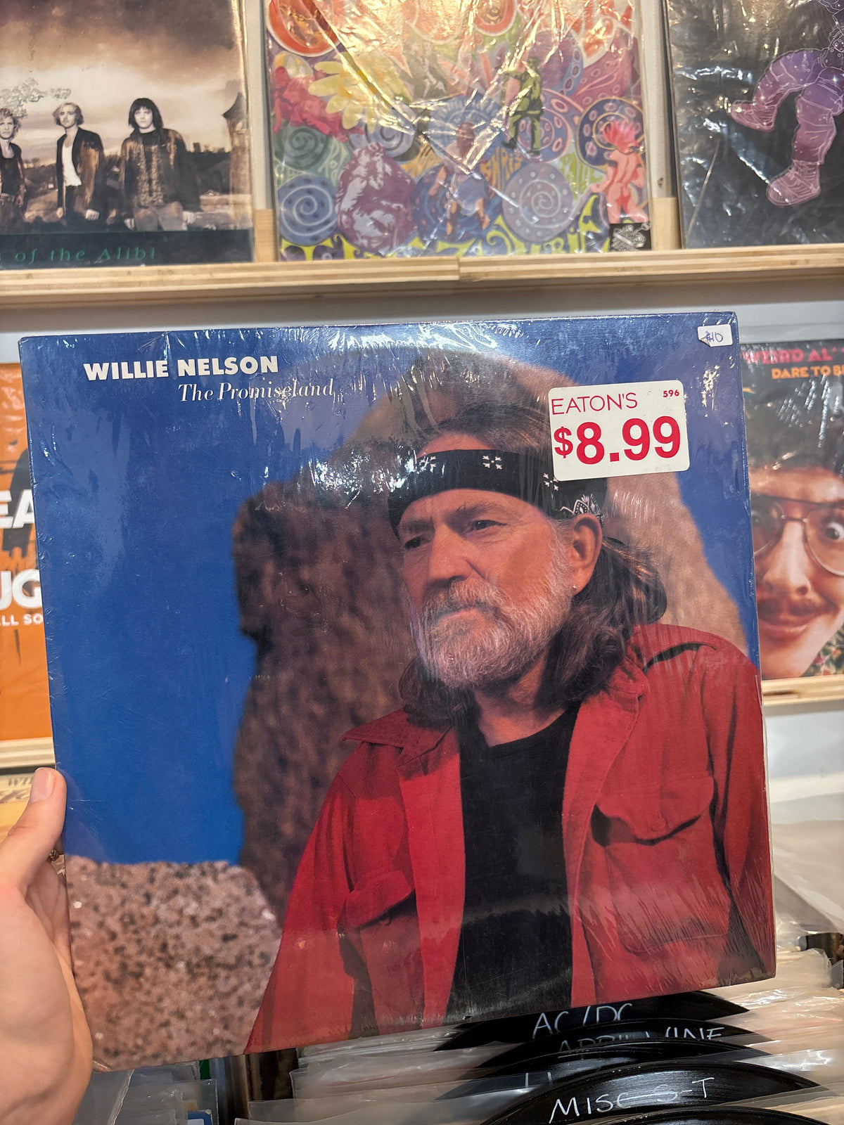 The Promiseland - Willie Nelson