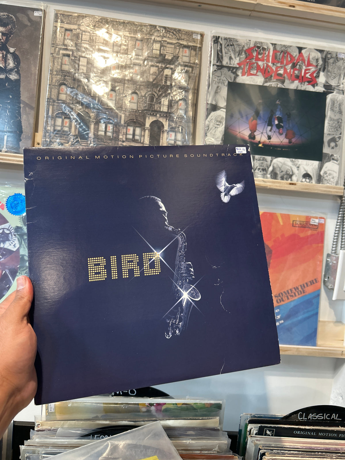 Bird Soundtrack
