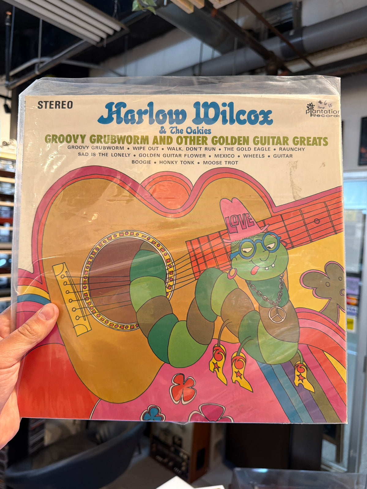 Harlow Wilcox - Groovy Grubworm