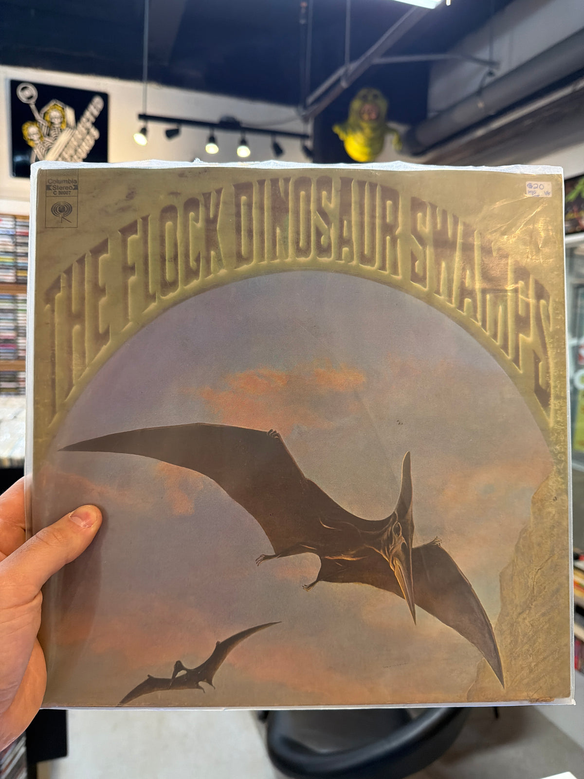 The Flock Dinosaur Swamps