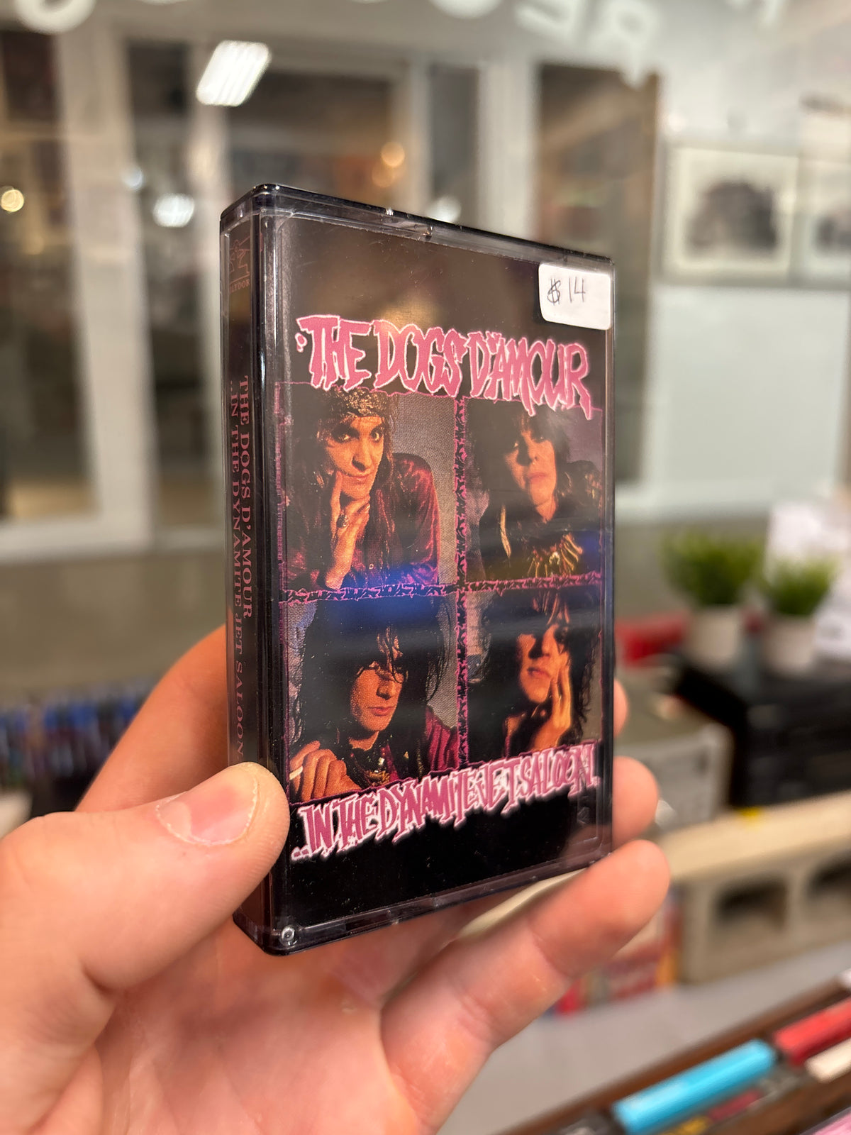 The Dogs Damour - In The Dynamite