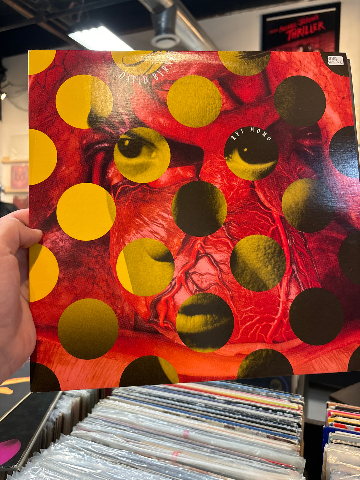 David Byrne - REI MOMO