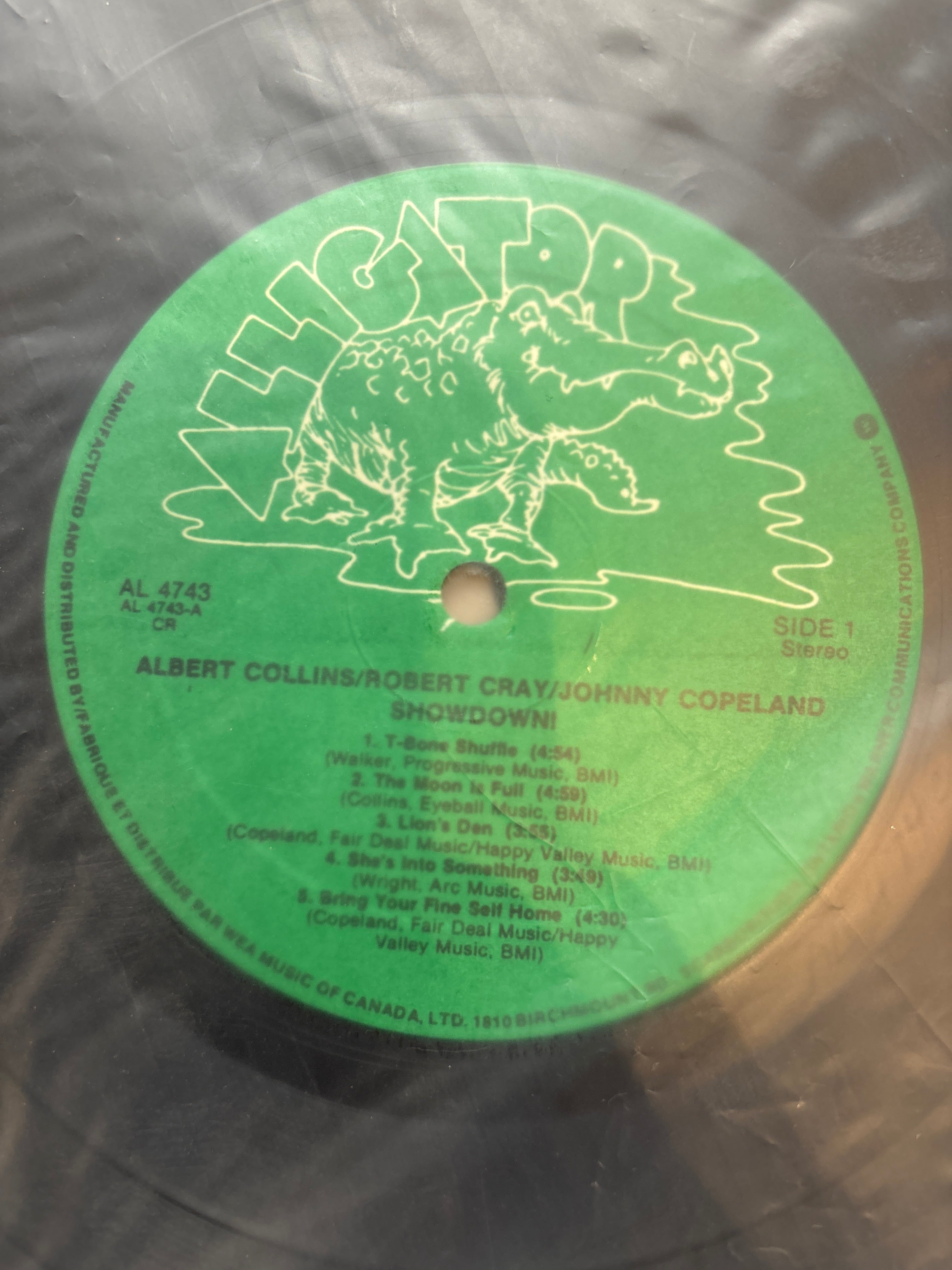 Albert Collins - Showdown