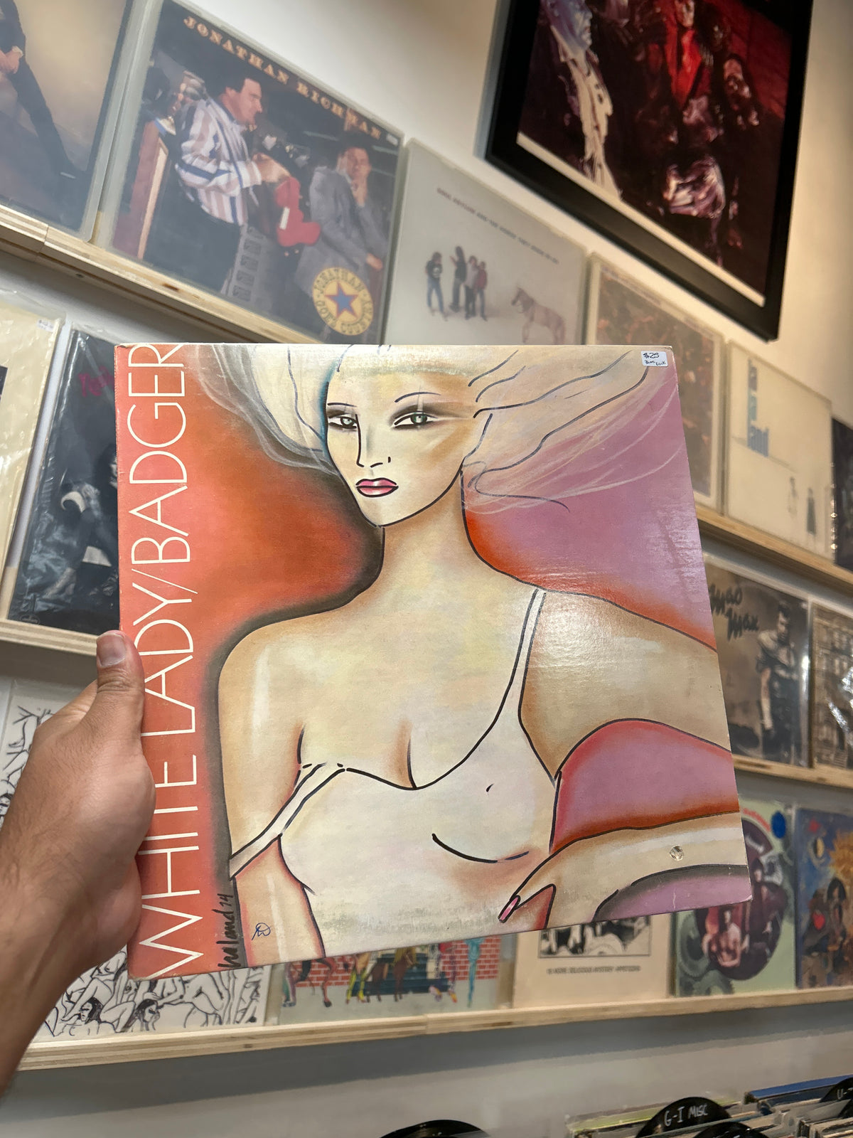 Badger - White Lady