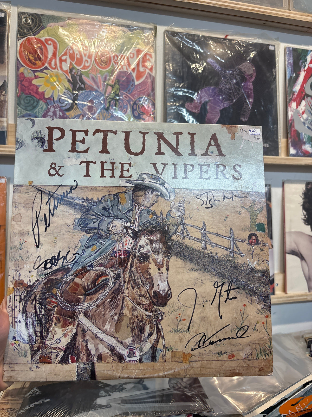 Petunia & The Vipers