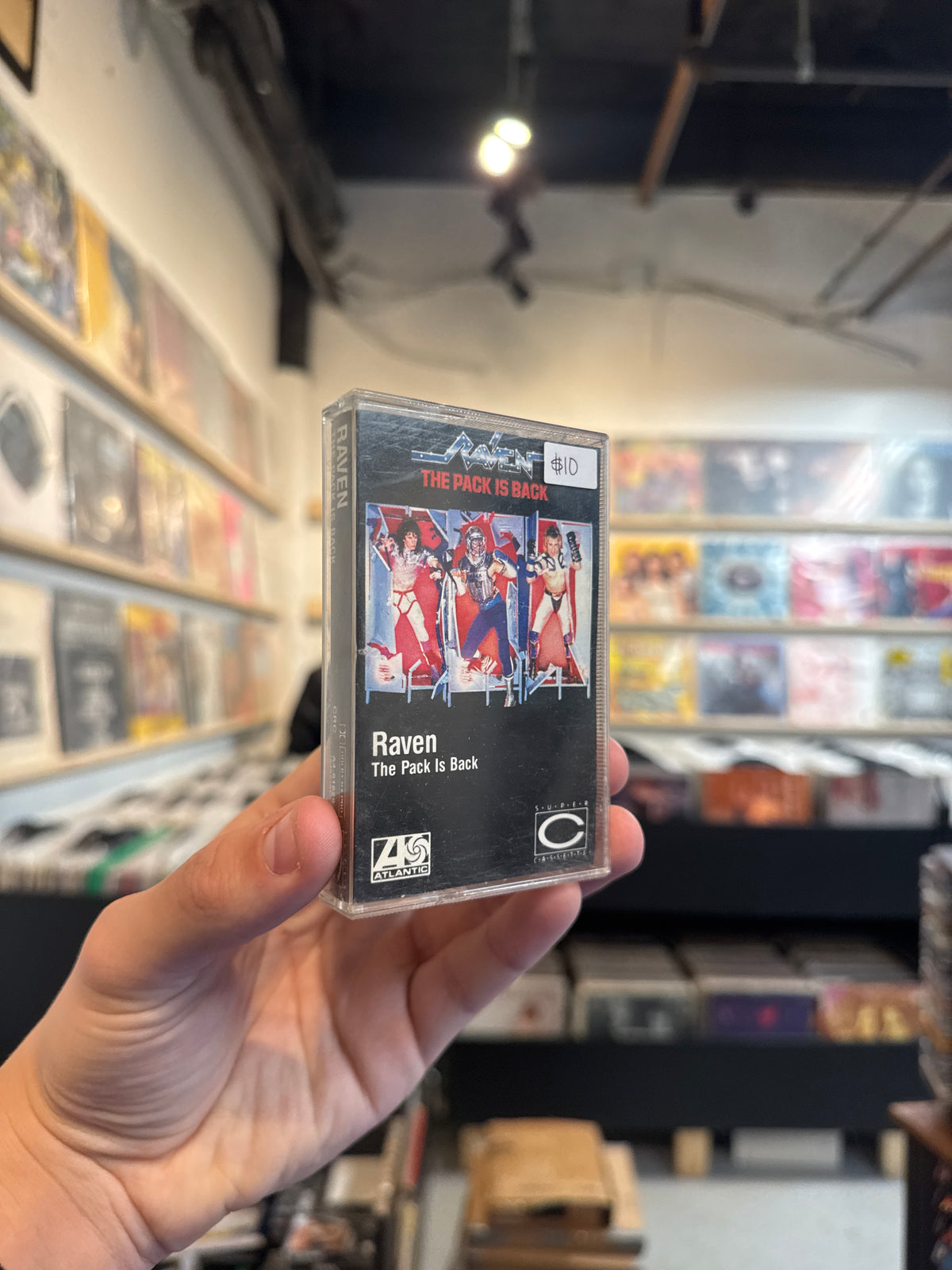 Raven - The Pack is Back