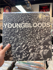 Youngbloods - Rock Festival