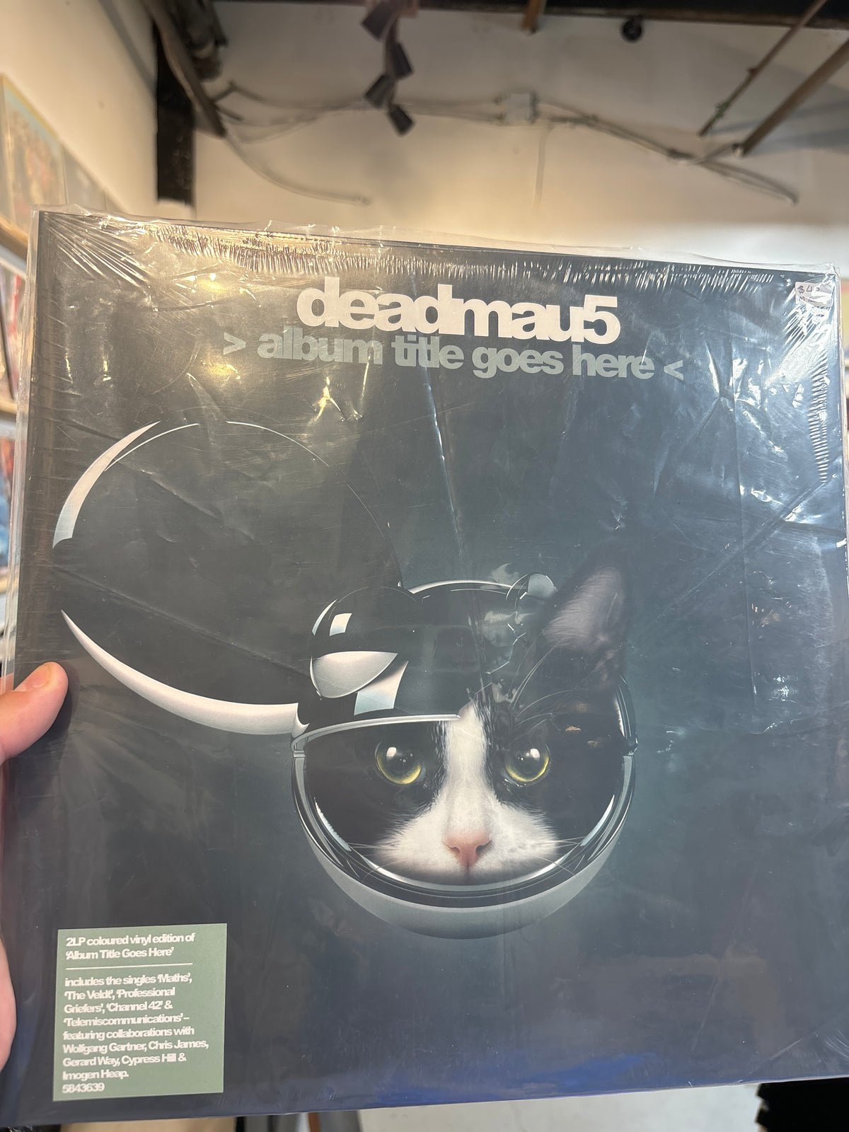 Deadmau5 - Album Title Goes Here