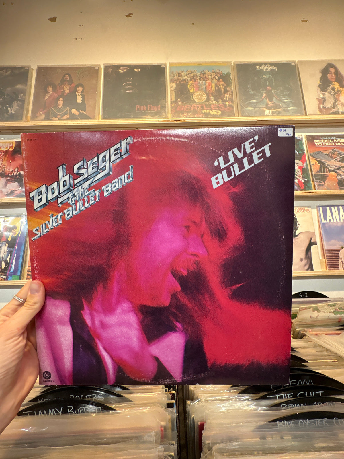 Live Bullet - Bob Segar & The Silver Bullet Band