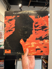 Ritchie Havens - Great Blind Degree