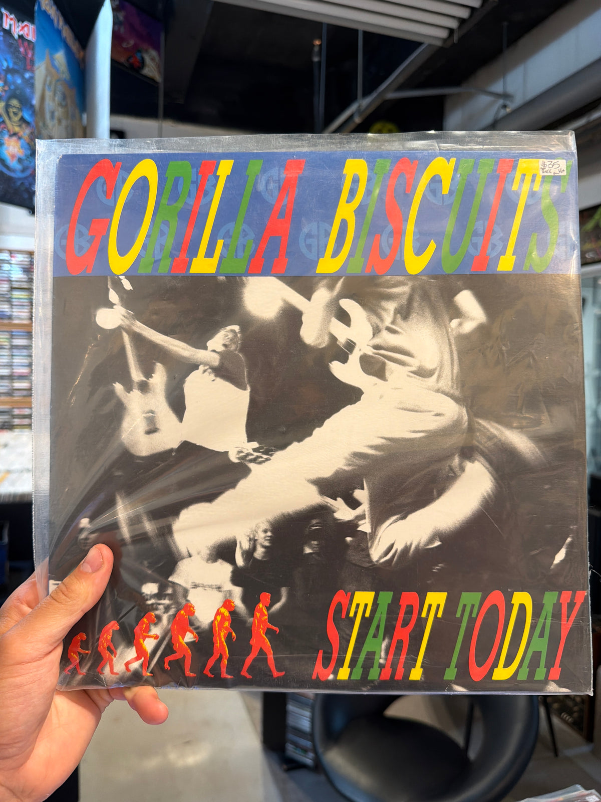 Gorilla Biscuits - Start Today (Green Vinyl)