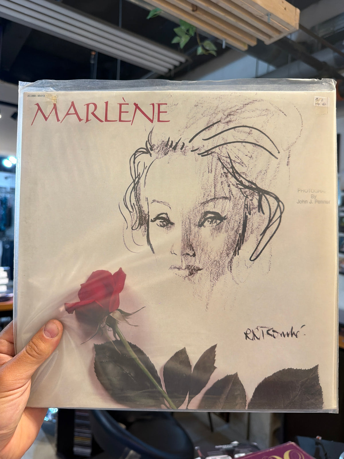 Marlene Dietrich - Lili