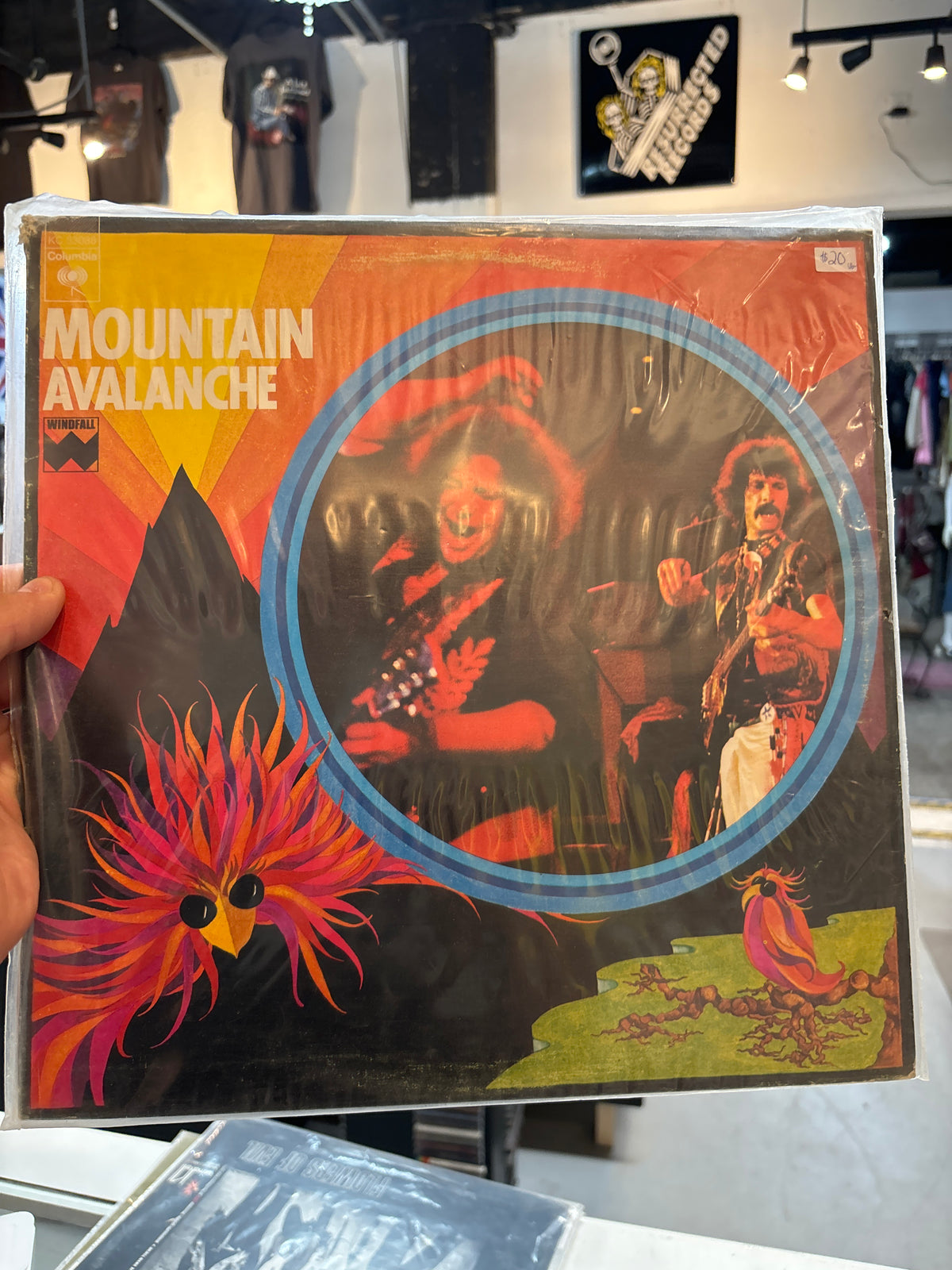 Mountain - Avalanche