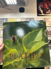 Platipus