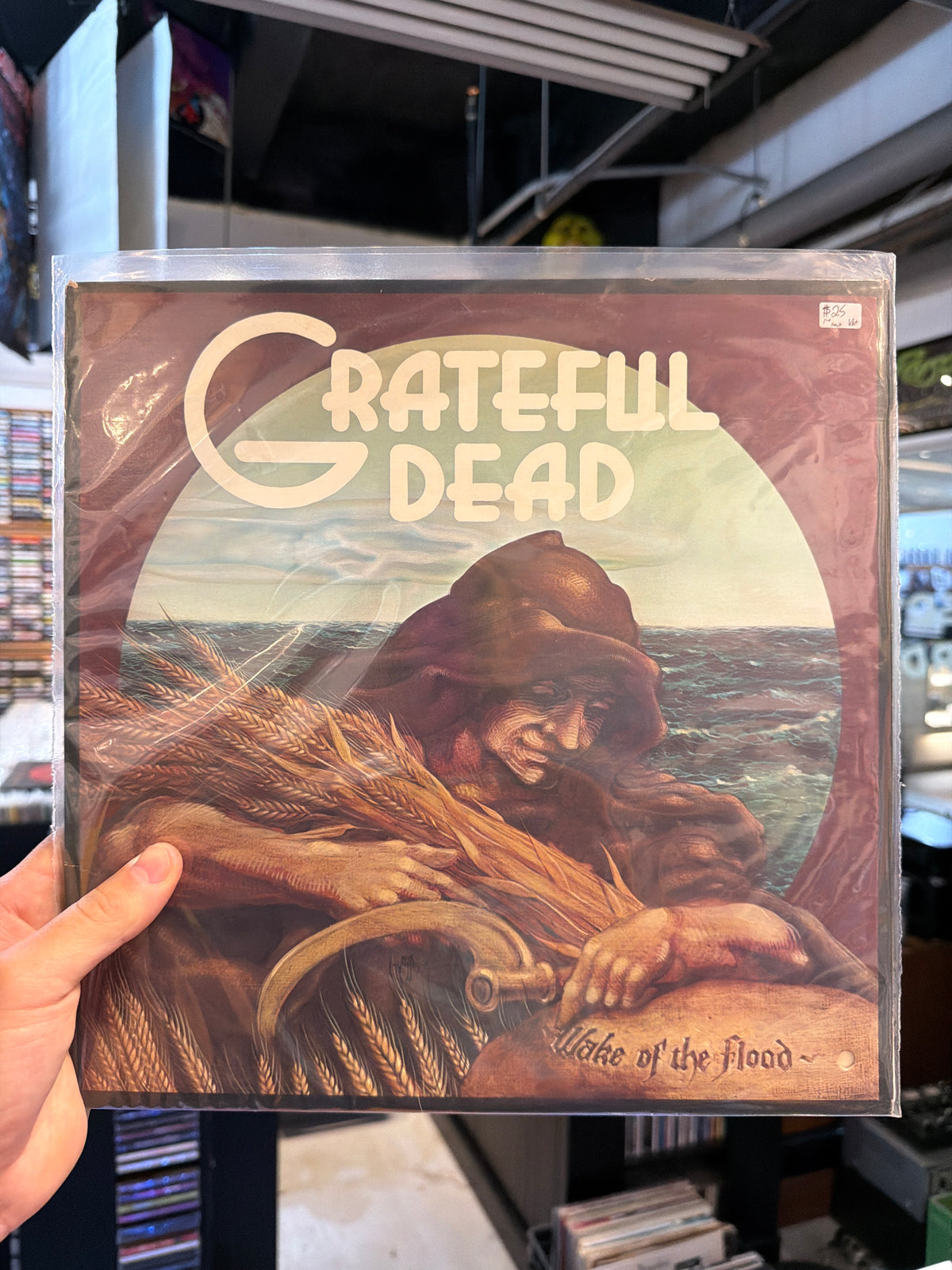 Grateful Dead - Wake Of The Flood