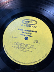 Yardbirds - Live