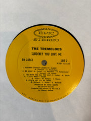 The Tremeloes - Suddenly you
