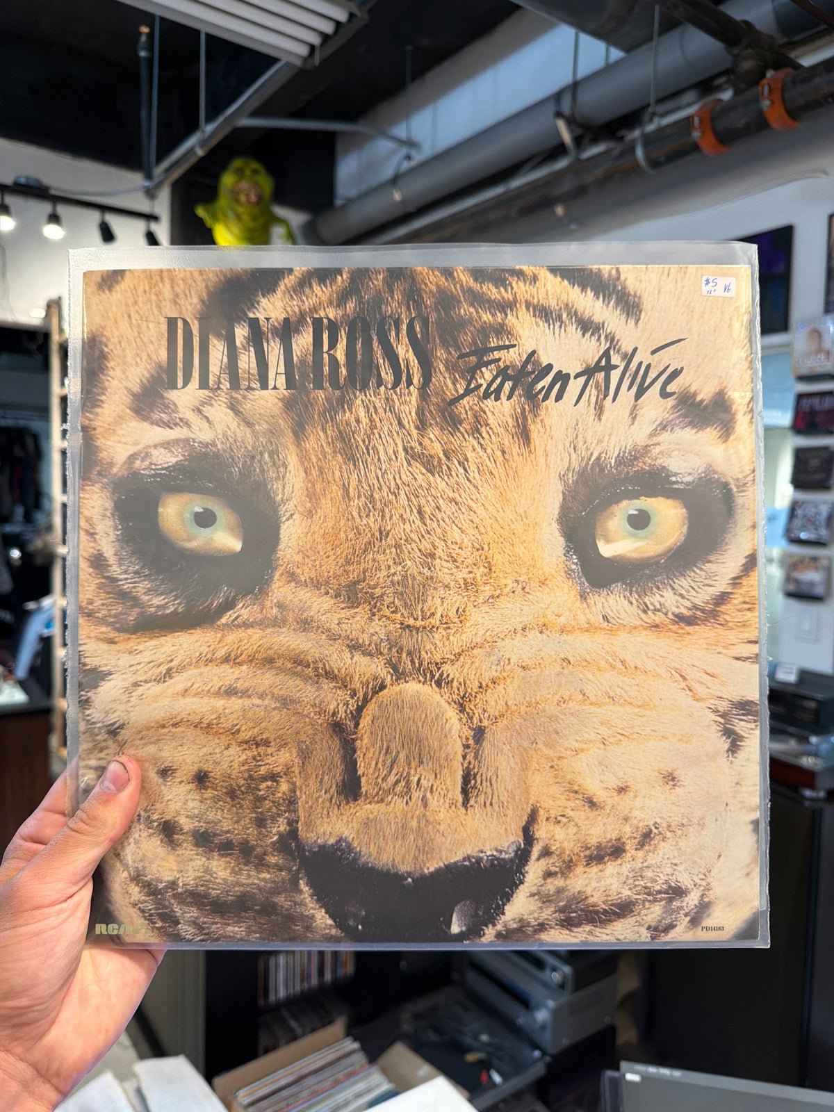 Diana Ross - Eaten Alive (12”)