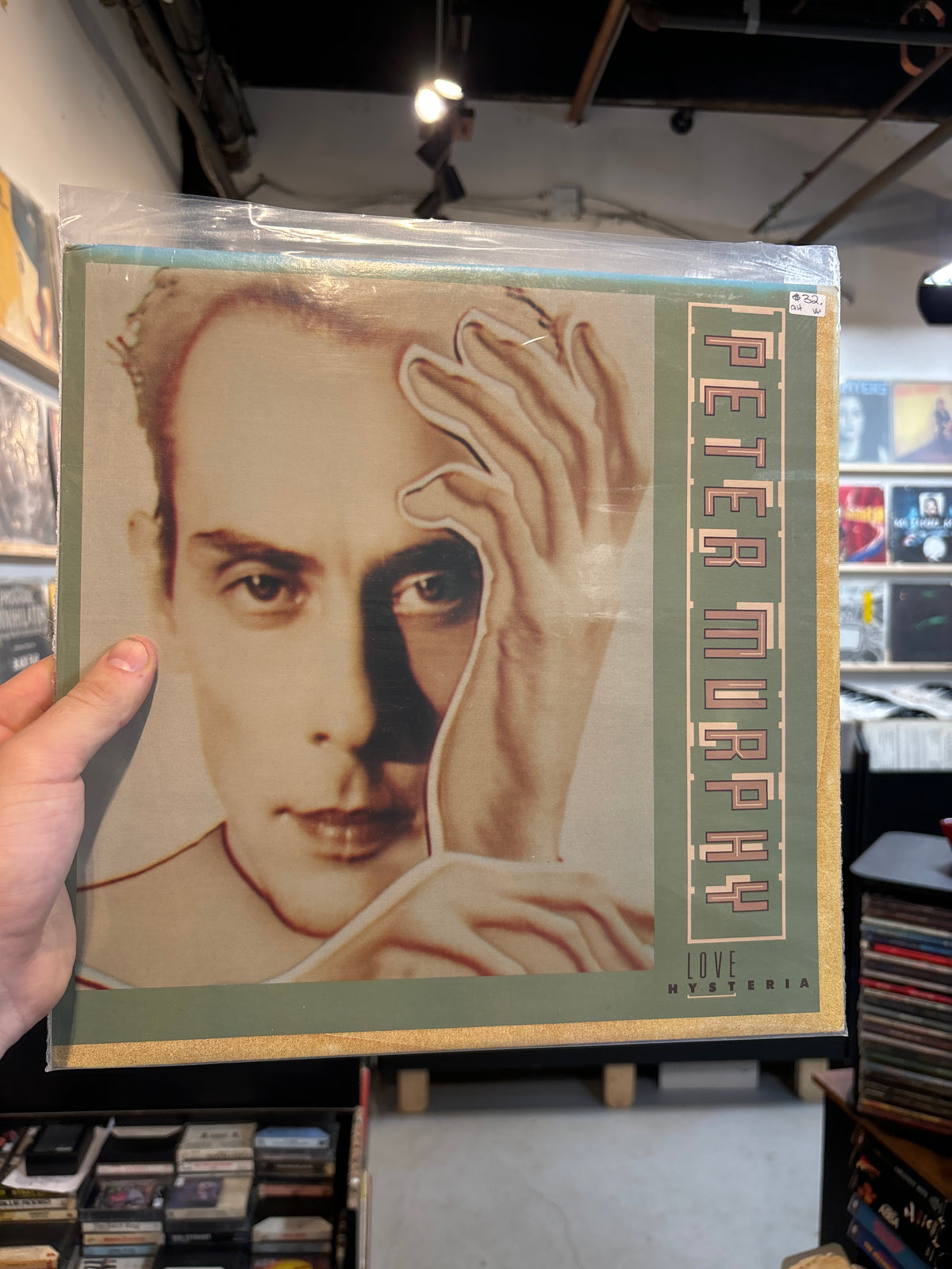 Peter Murphy - Love