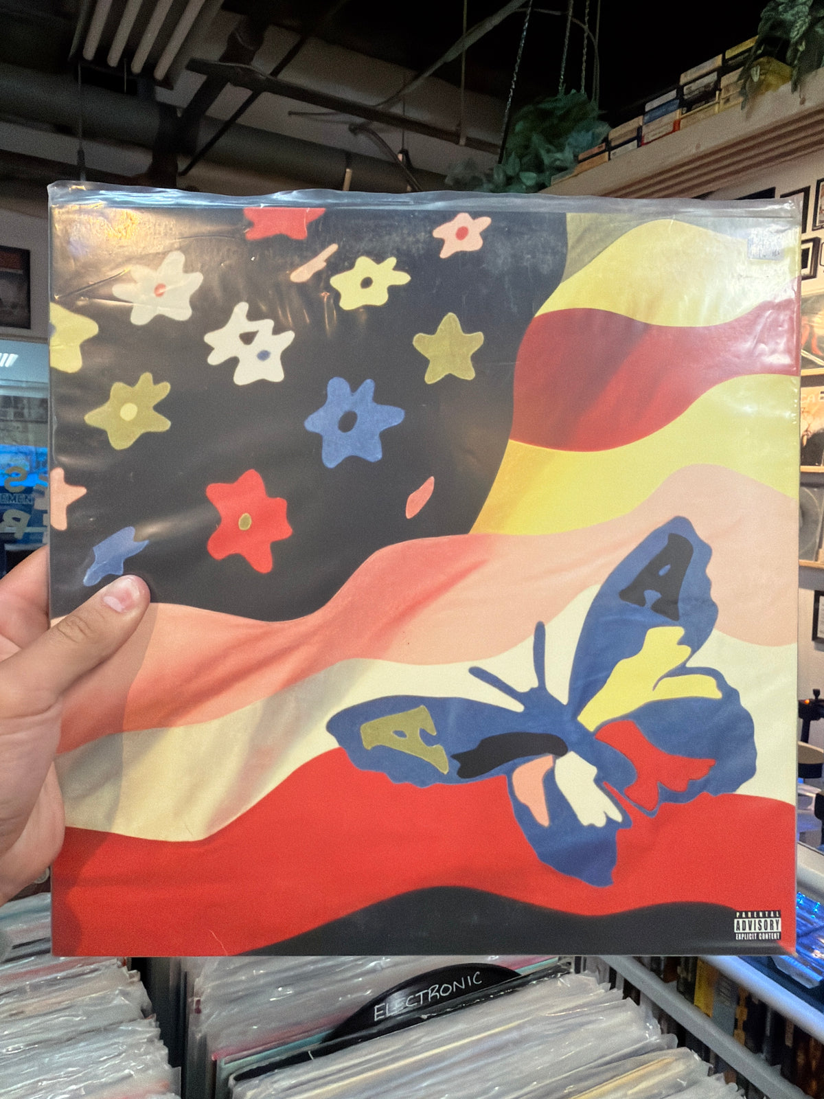 The Avalanches - Wildflower