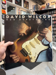 David Wilcox - Bad Rep