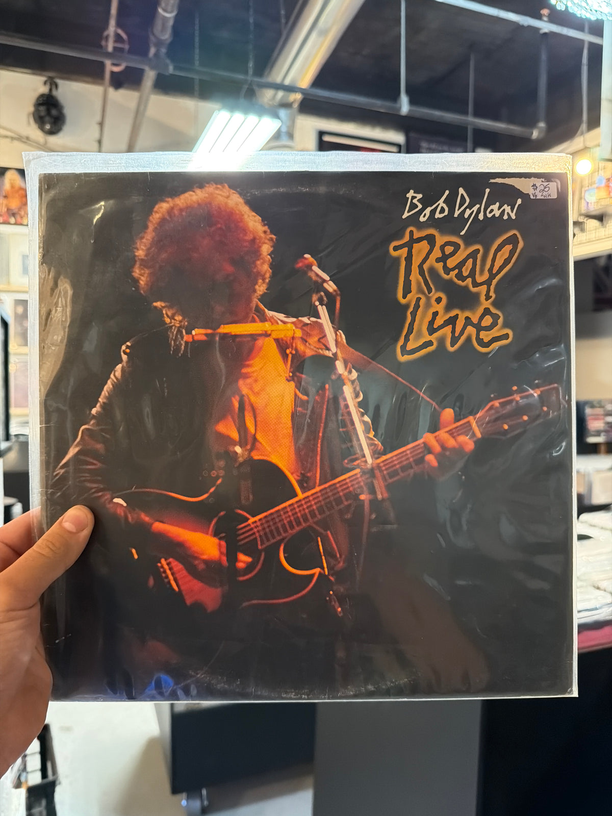 Bob Dylan - Real Live