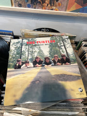 The Turtles Greatest Hits