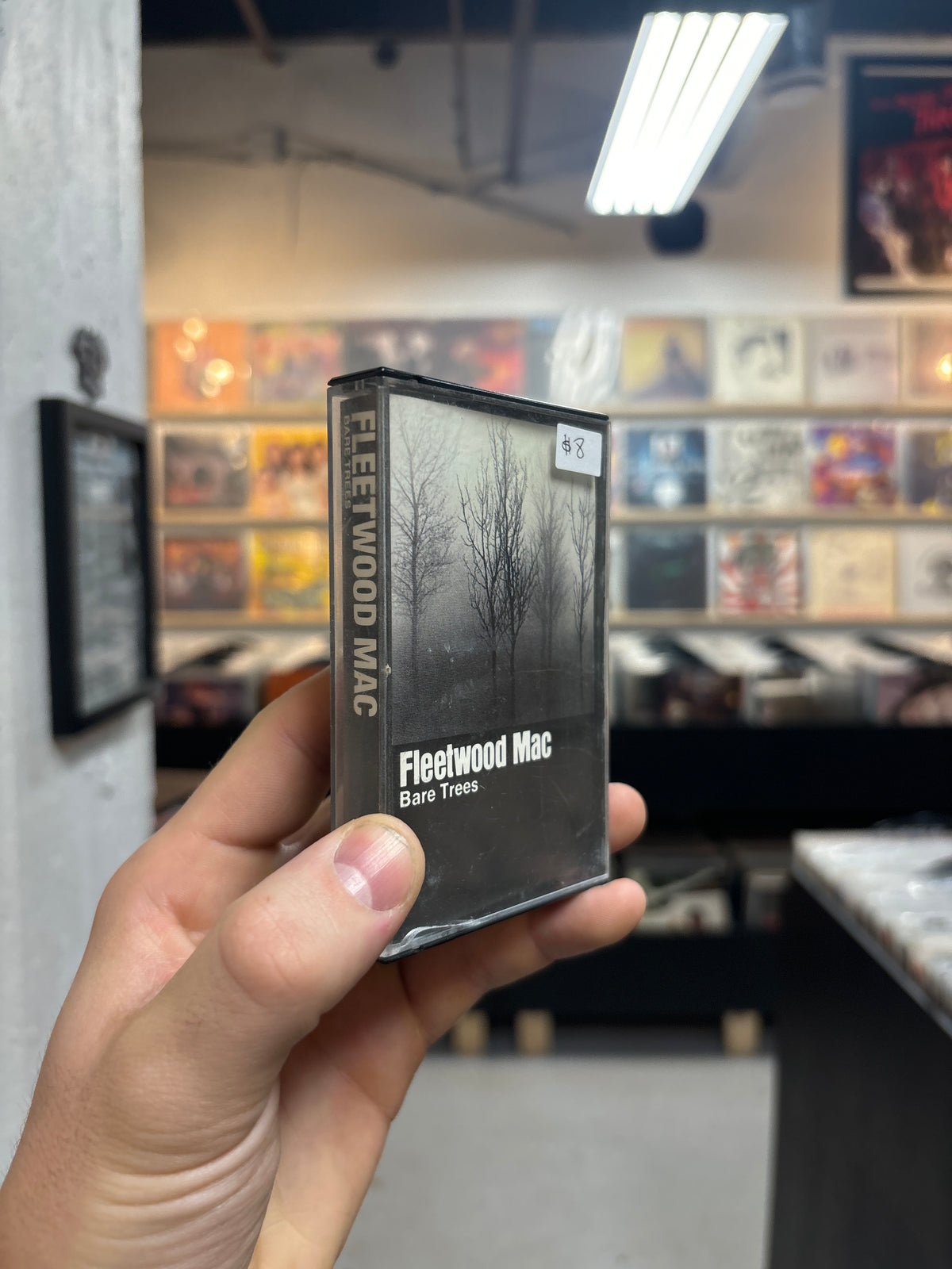 Fleetwood Mac - Bare Trees