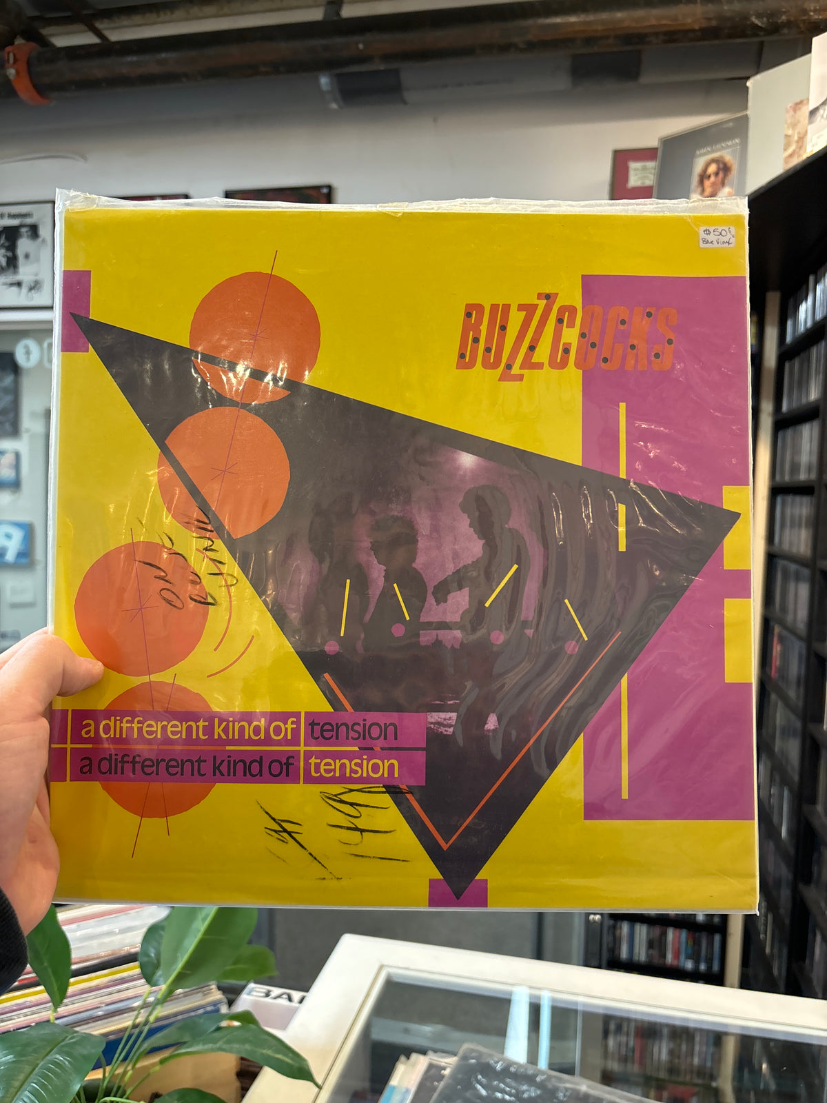 BUZZCOCKS - The Rose (Limited)