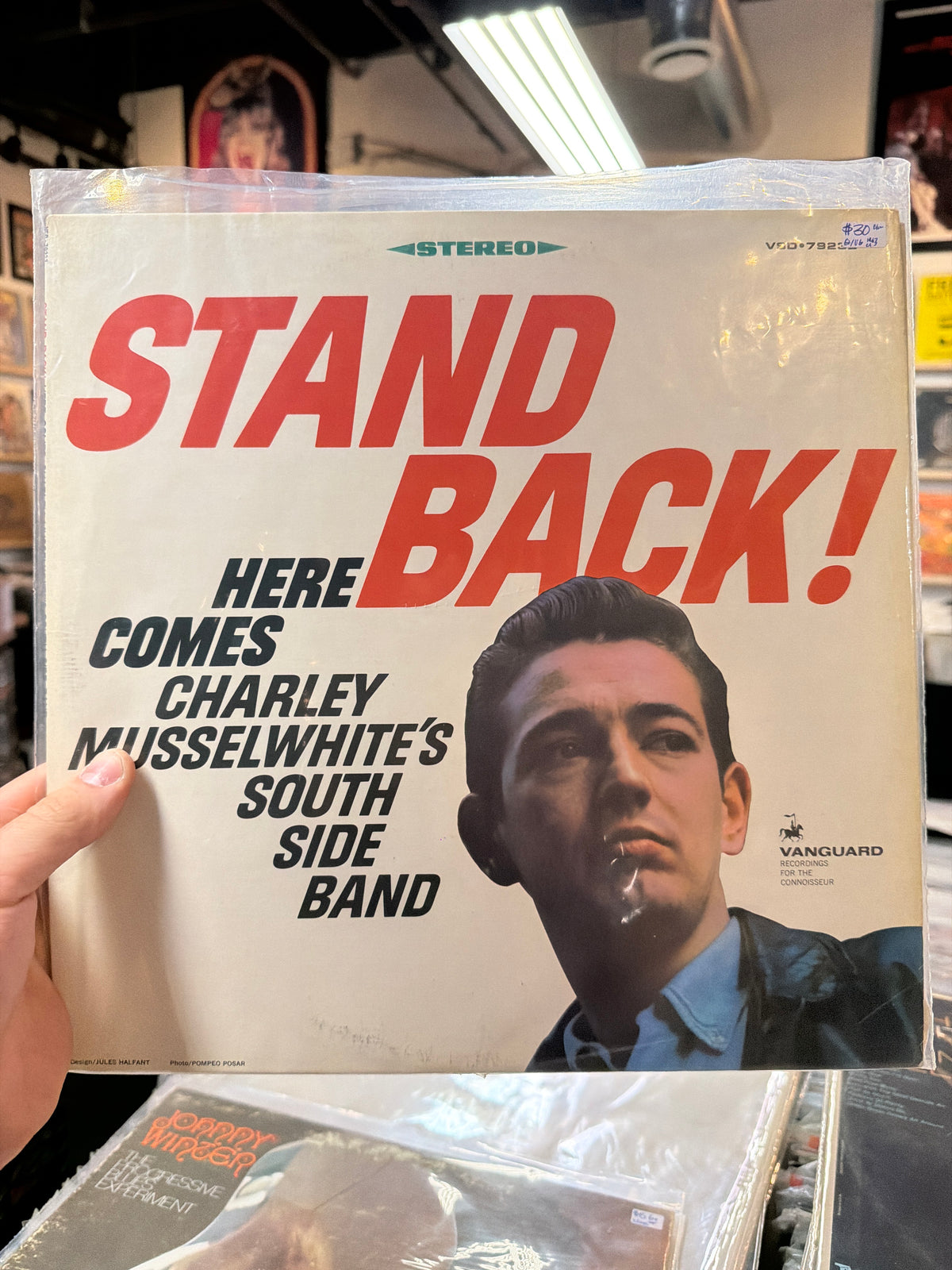 Charley Musselwhite - Stand Back