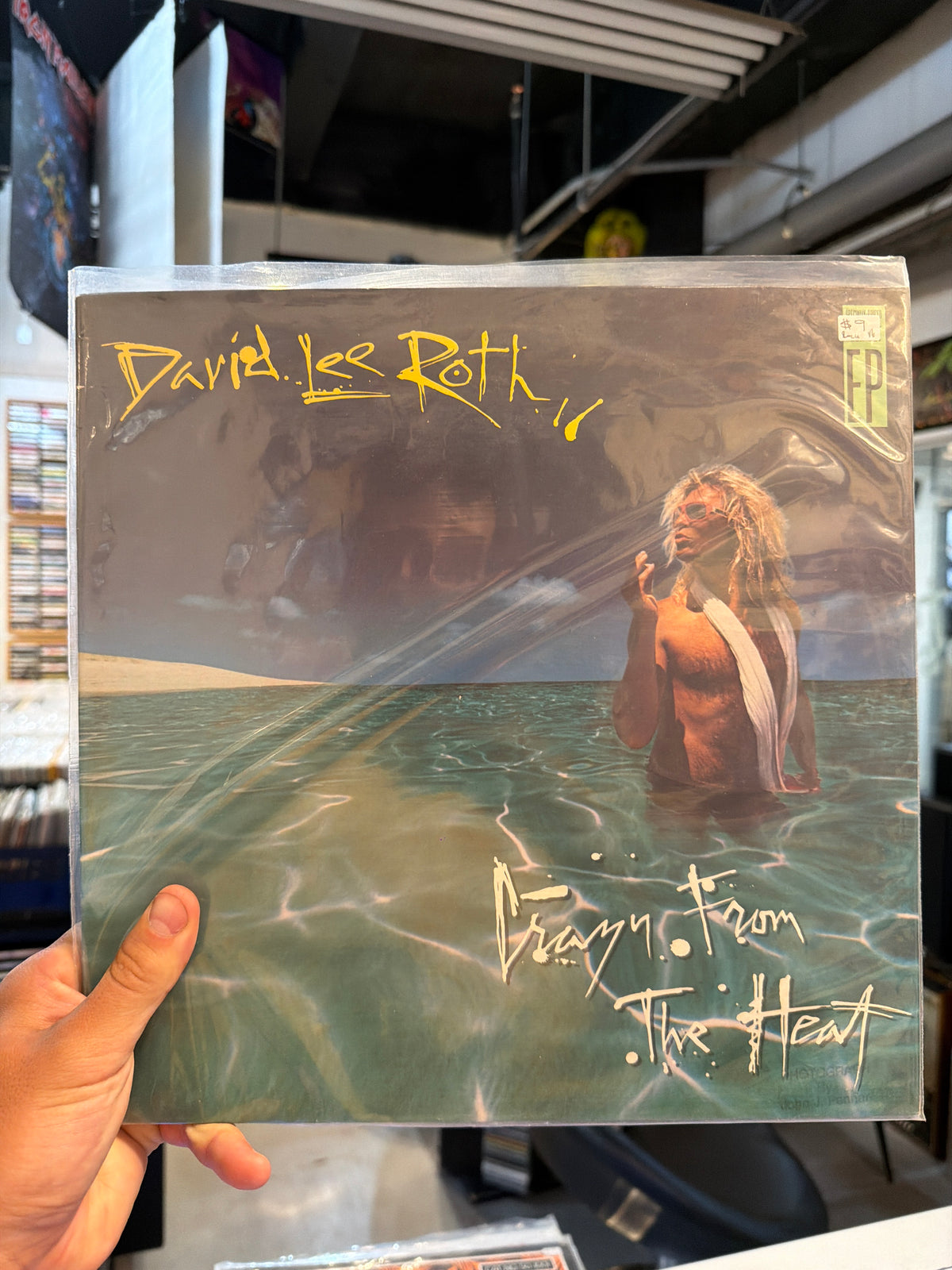 David Lee Roth - Crazy From The Heat