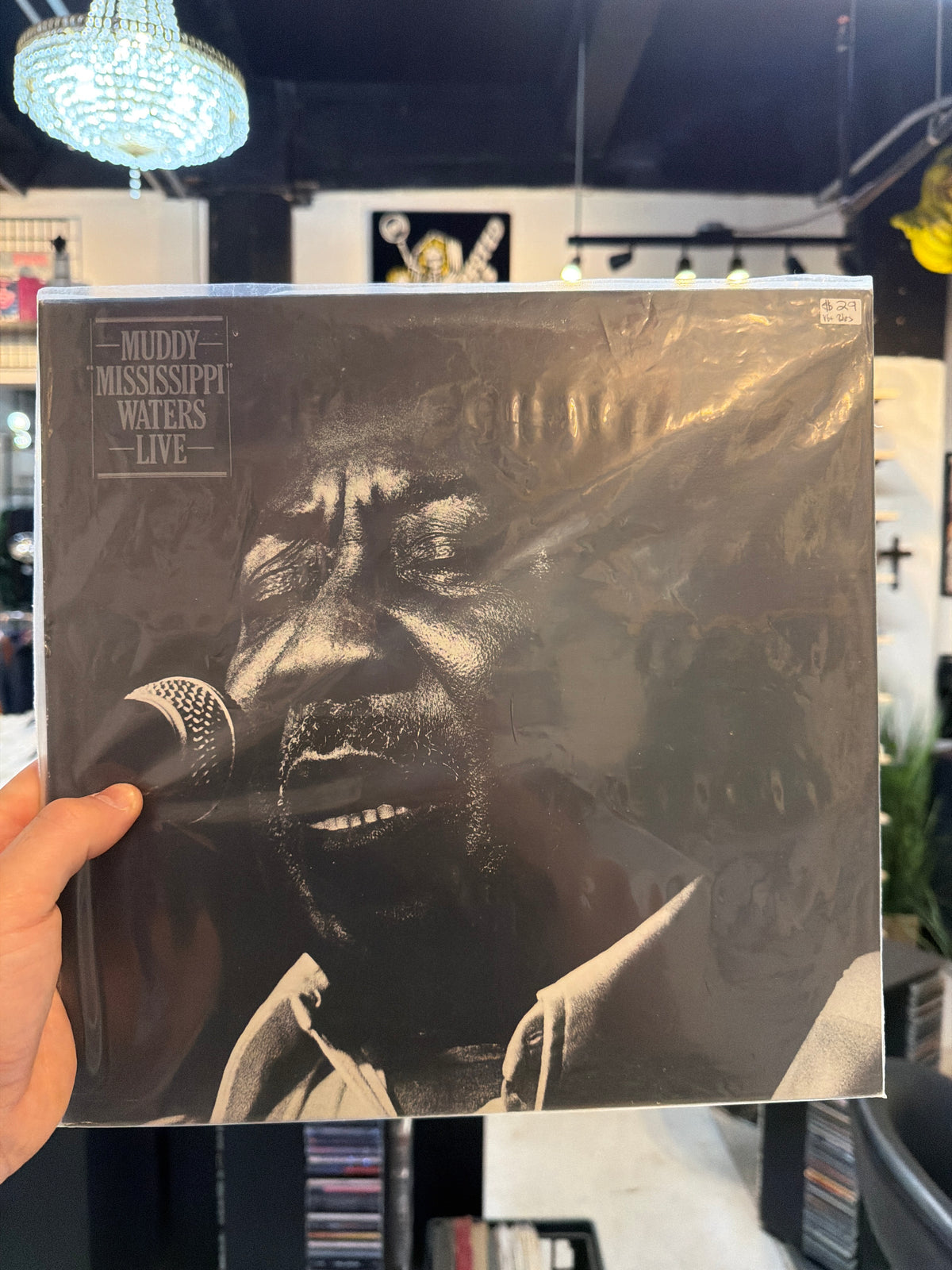 Muddy Waters - Live