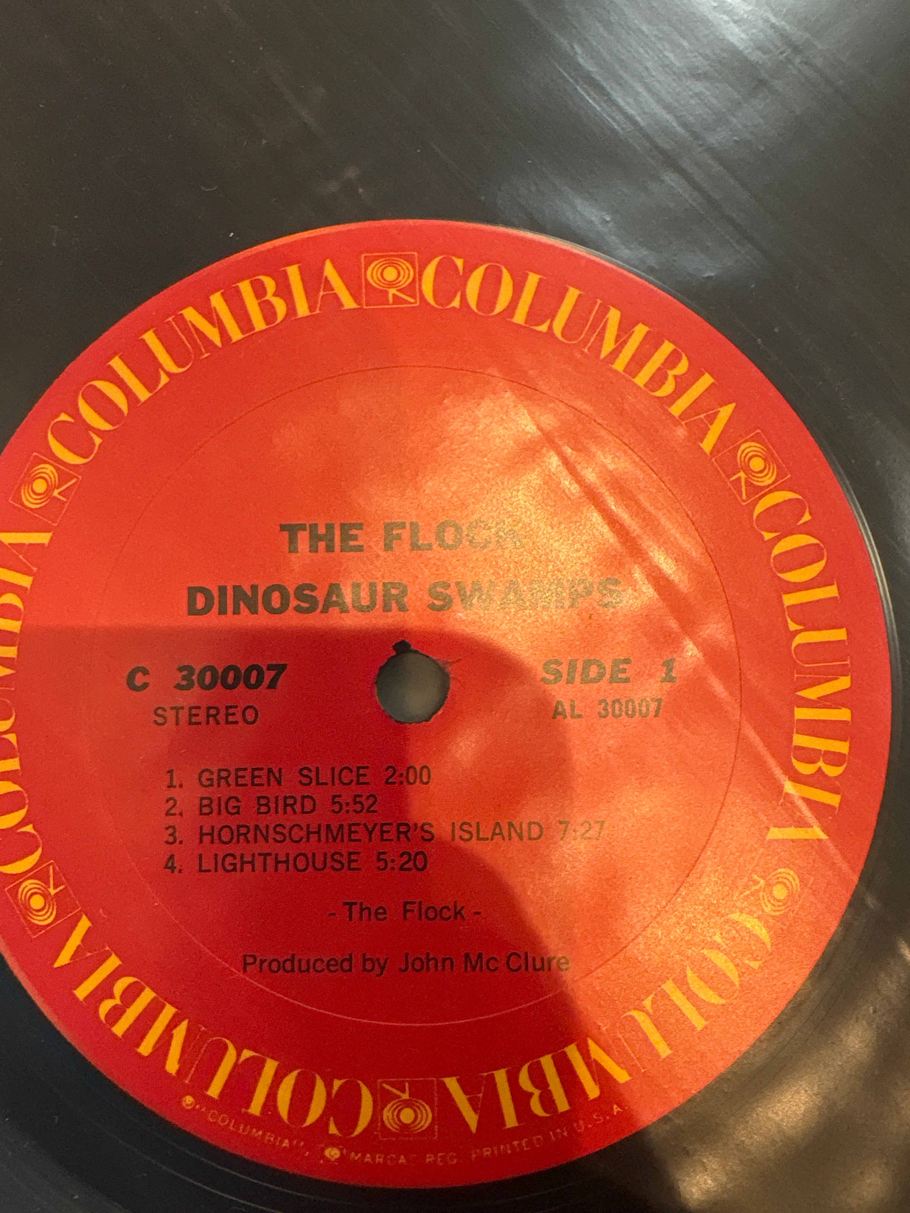 The flock - dinosaur swamps