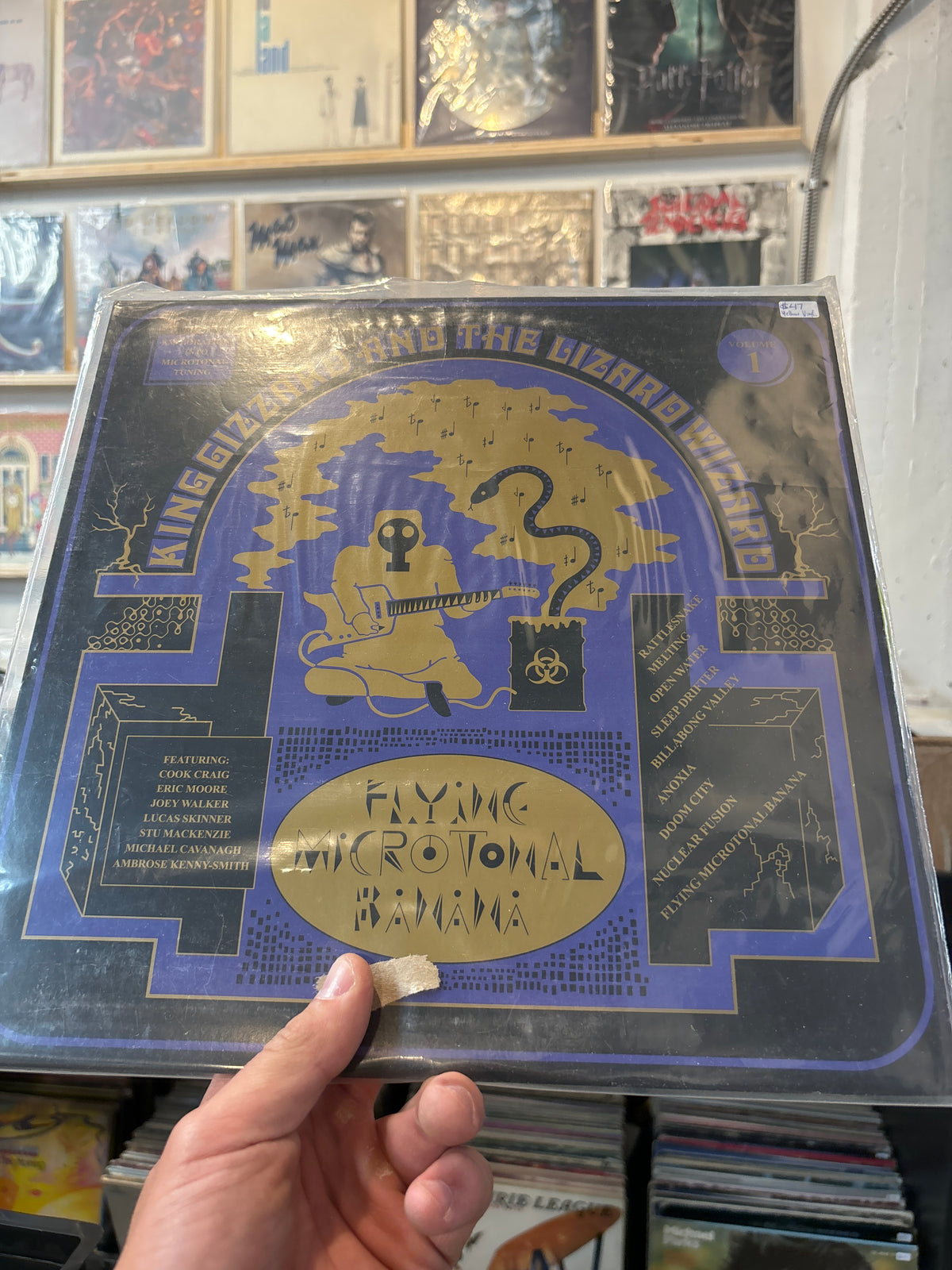 Flying Microtonal - King Gizzard